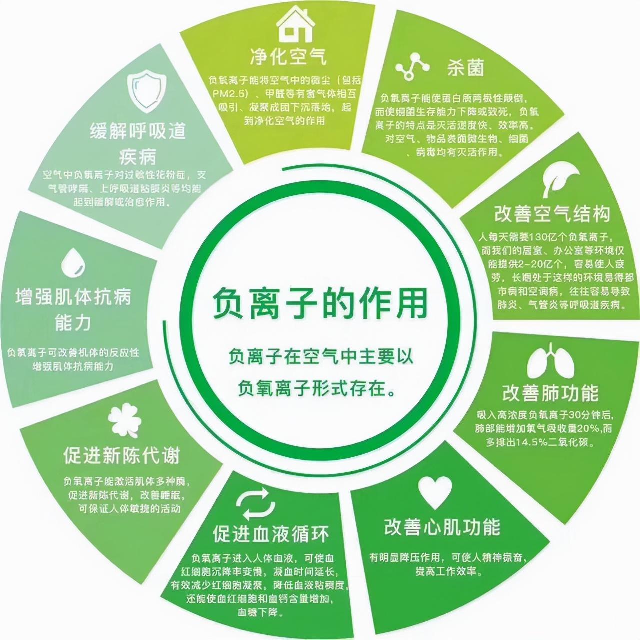最新氧离子探索，前沿科技下的生态应用新突破