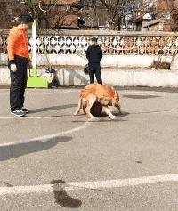 铁路公路涂料 第348页