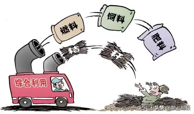 沈阳站街现象揭秘，警惕不良信息，维护道德底线与健康社交关系