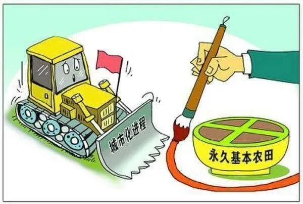 中方最新决定,中方最新决定，完成某项任务或学习某种技能的详细步骤指南