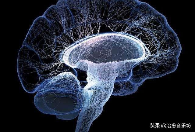 低频脑波最新研究进展，探索大脑新领域的前沿探索