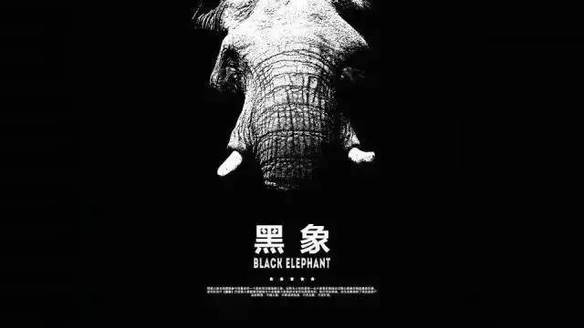 权力红人最新揭秘，透视现象背后的真相真相大揭秘