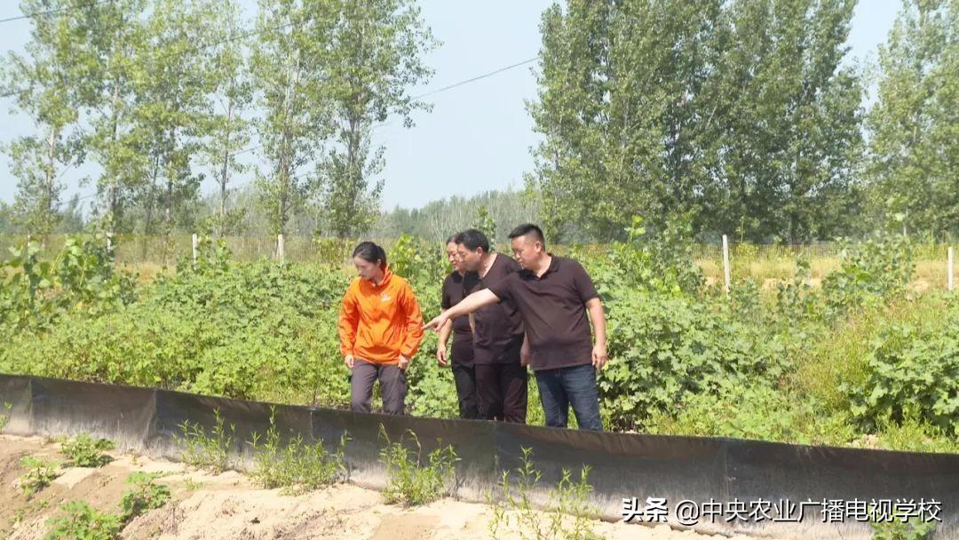 最新打甲鱼,最新打甲鱼技术，方法与技巧探讨