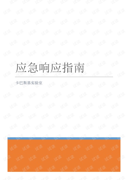 伊朗骚乱最新动态，应对与关注的初学者与进阶用户指南