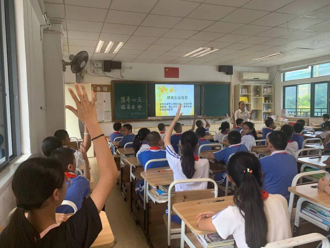 疫情班会最新动态，探索自然美景，寻找内心的宁静与平和之旅