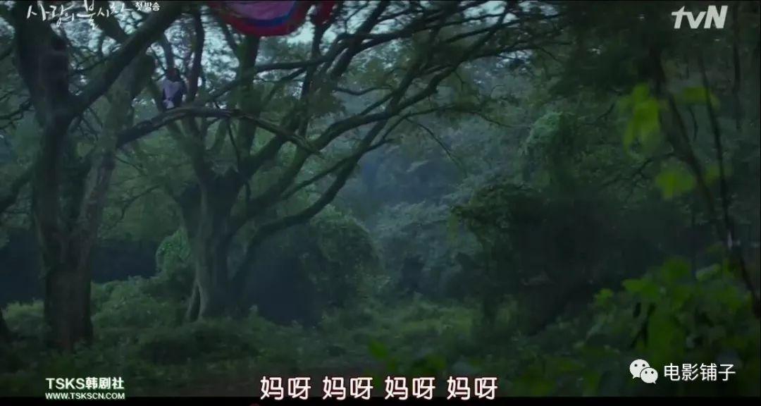 韩国之旅，阳光照亮重逢之路，李明的新篇章启程！