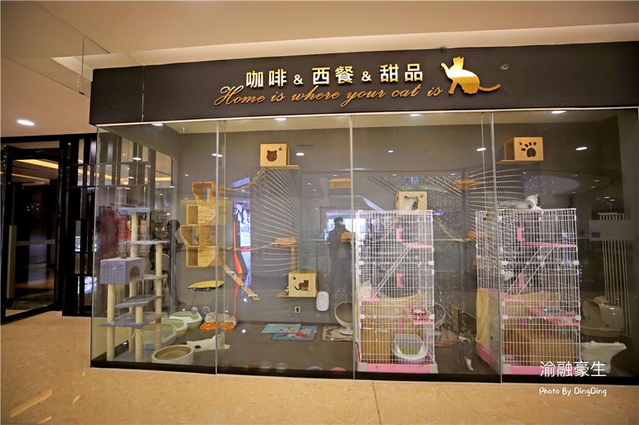 前沿支付技术变革酒店业，探索最新酒店支付方式的革新之路