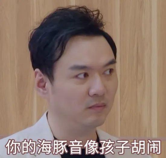 海豚网最新动态，乘风破浪，与知识共舞