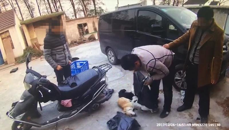 海盐租房网最新房源信息，轻松找到心仪住房！