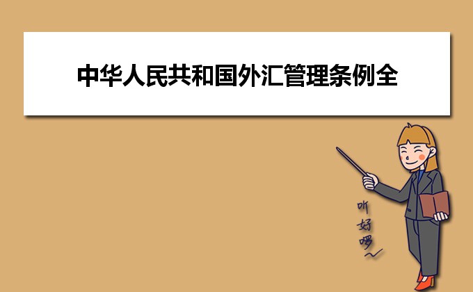 最新个人外汇管理办法及其解读，全面理解应用指南🔍💸