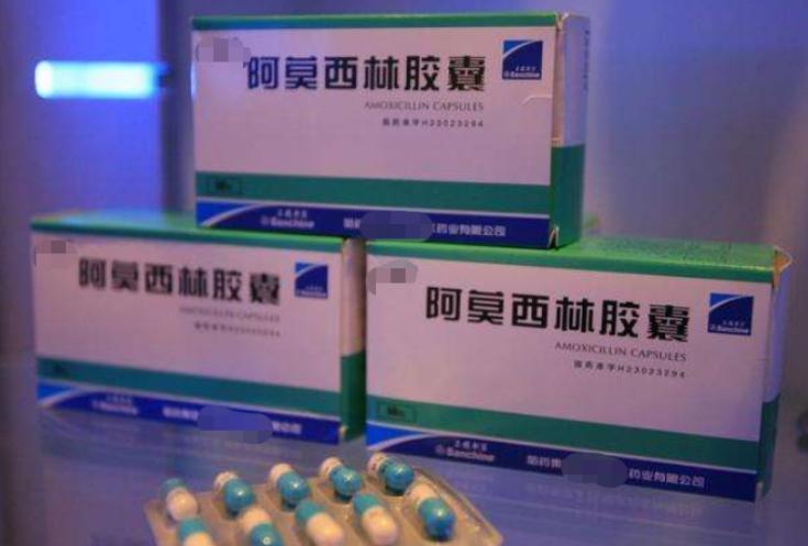 西林吧最新消息，蓬勃发展的时代脉搏