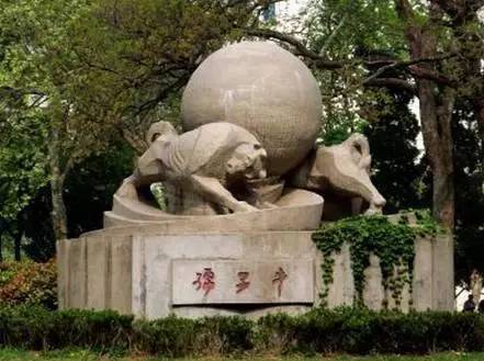 自然美景之旅 第5页