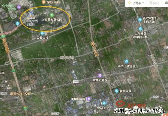 红杏最新网址及相关文章概述