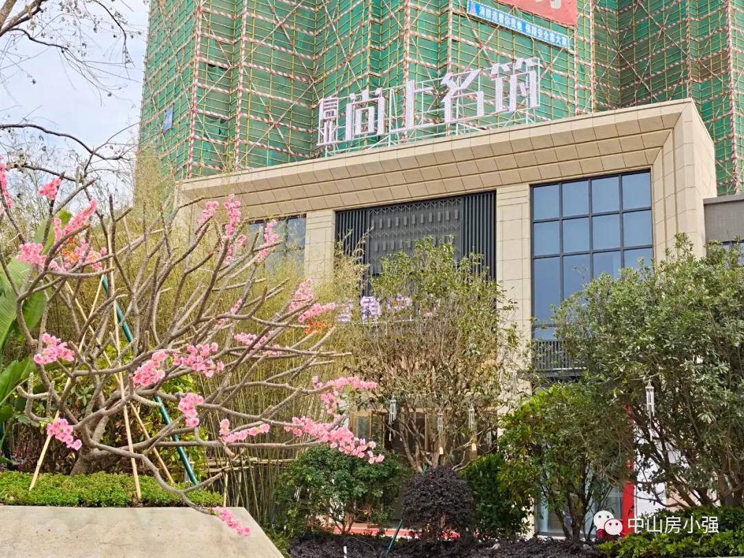 浮力乐园最新网址揭秘，奇妙日常探秘之旅
