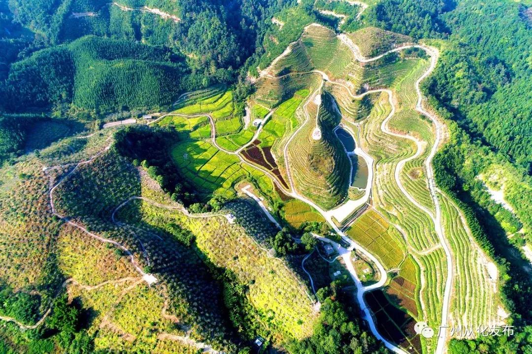 杨毅侃球最新一期，走进自然美景，探寻内心宁静之旅