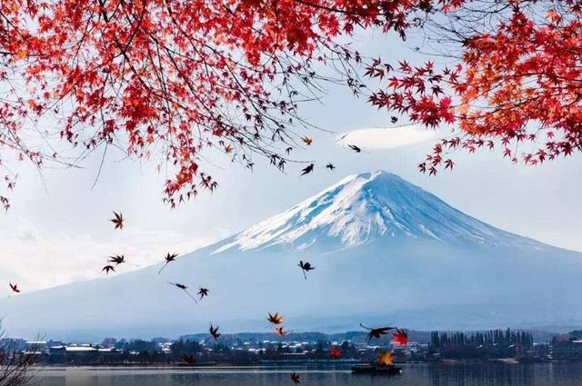 解锁你的天空领地，最新楼顶使用权详解！
