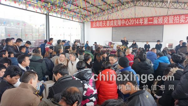 皓天公棚最新动态引领行业新趋势
