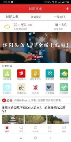 沭阳新闻最新头条解读与洞察，多元视角展现本地动态