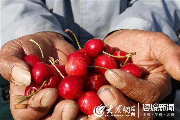 烟台黄务最新招聘信息火热发布，求职者的福音不容错过！