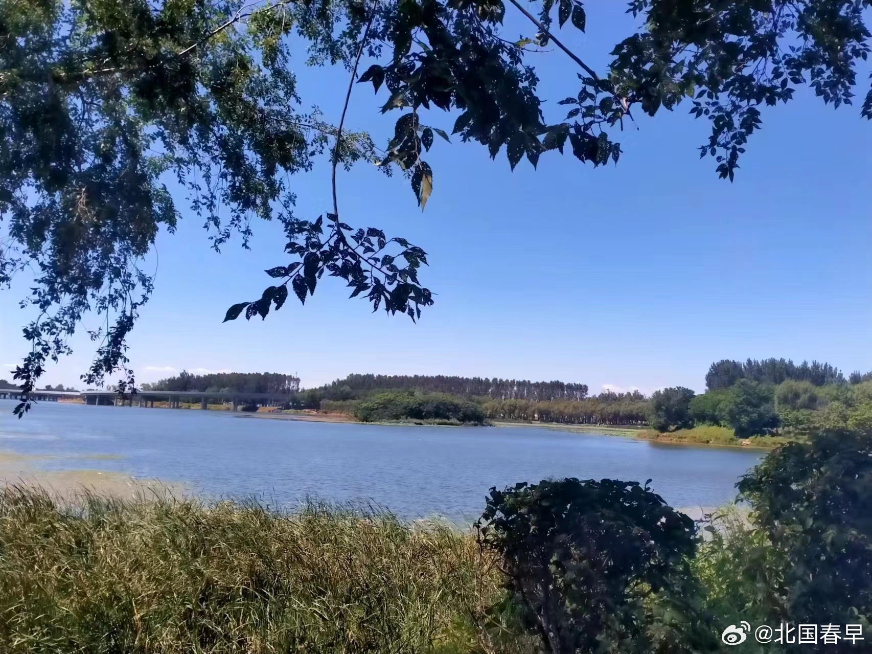 深度探究，最新丁香湖的背景、重要事件与地位