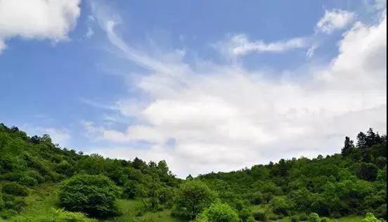 最新快闻下载，探索自然美景，寻找内心平和与宁静的旅行