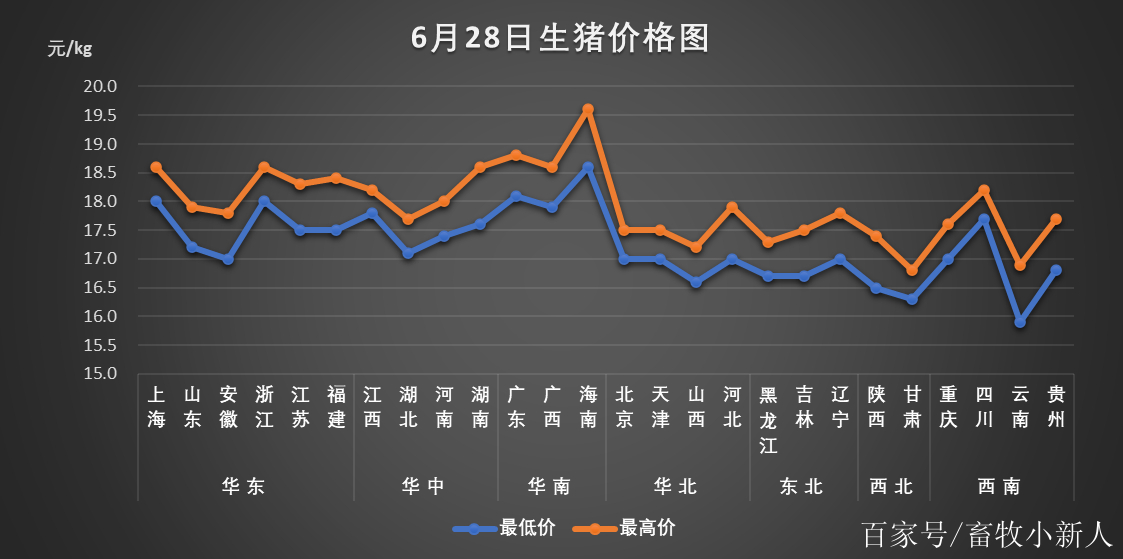 市场动态与趋势分析