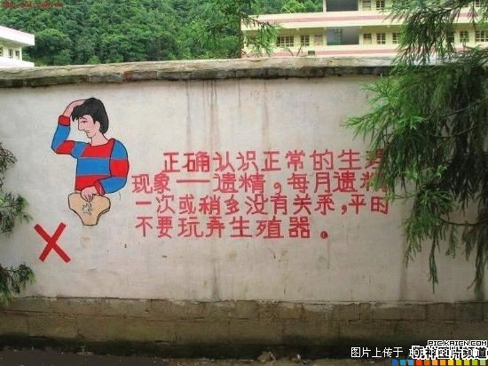 小巷深处的教育宝藏，最新教育广告揭秘！