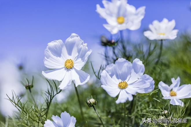 王印桐最新动态揭秘，探索无限可能的进步之路