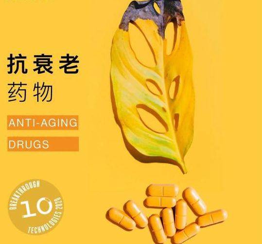 小巷深处的隐秘宝藏，最新防衰老药物揭秘