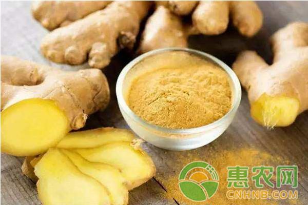 生姜最新价格动态及分析