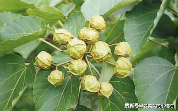 铁路公路涂料 第182页