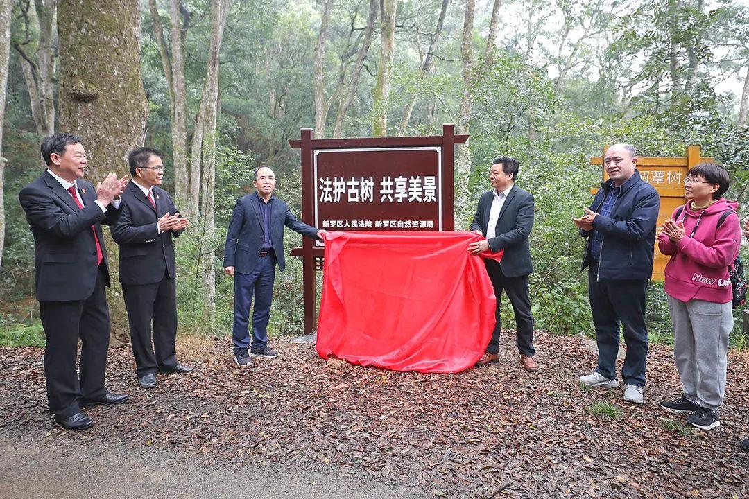 美国法院最新动态，小巷中的隐藏瑰宝