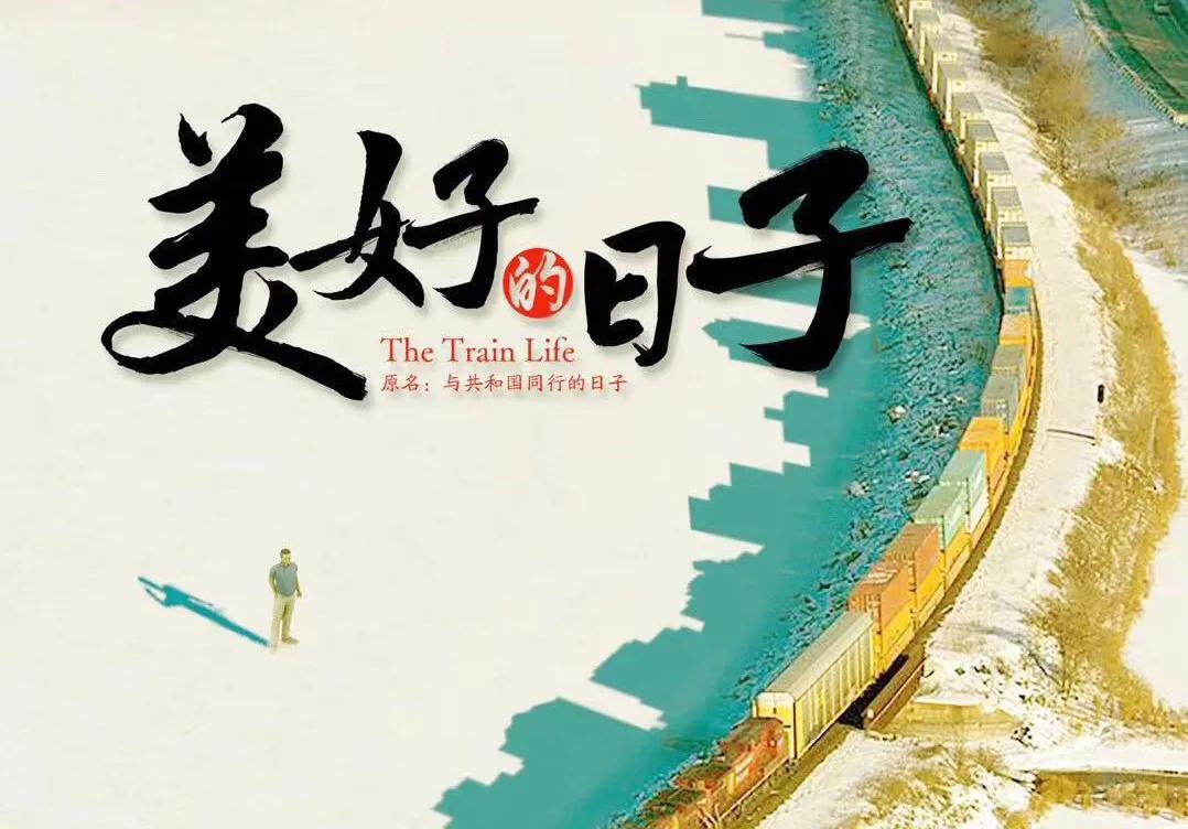 河南最新安排多元解读，深度剖析与前瞻展望