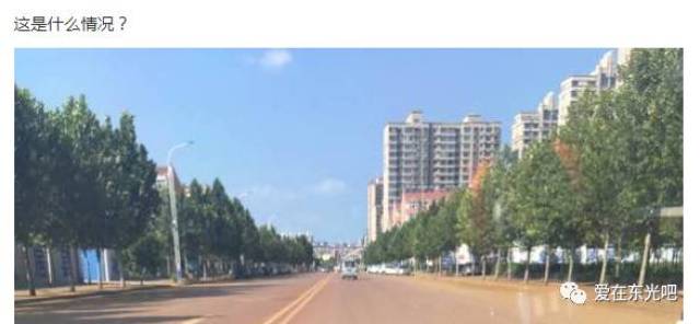 东光贴吧最新动态更新，实时掌握最新资讯