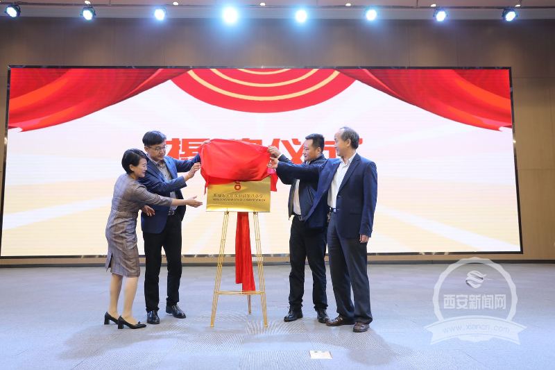 西咸新区沣东，新时代脉搏与活力最新动态