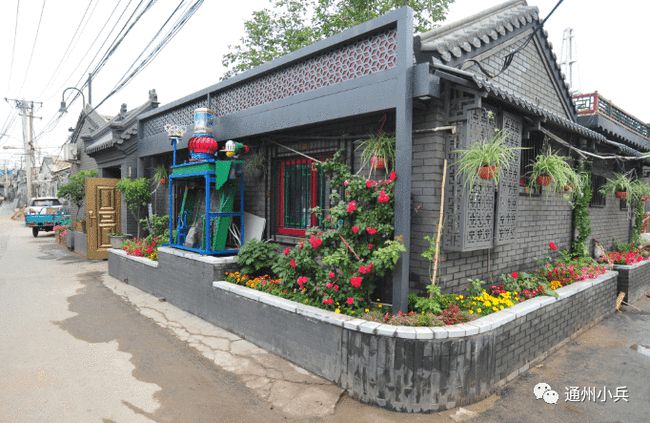 青白江最新动态，多维视角的区域发展与深度解析