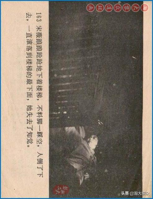 王馥荔电影之旅，从初学者到进阶用户的欣赏指南与作品回顾