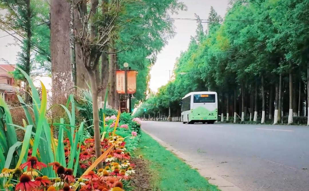 自然美景探索之旅 第6页