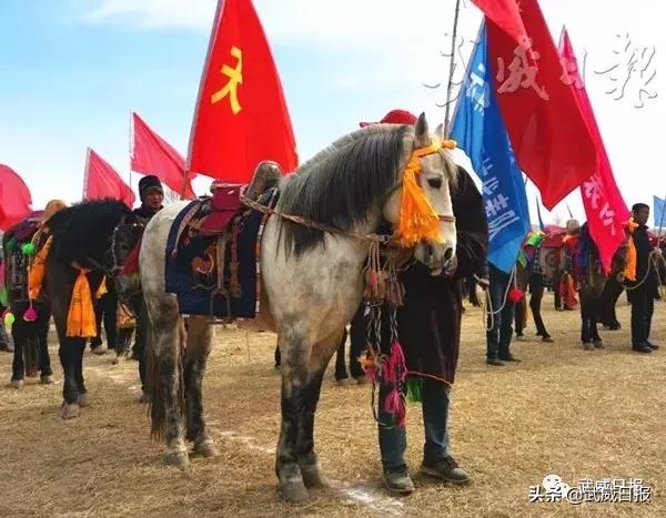 全明星赛时间，荣耀与激情的盛宴开启！