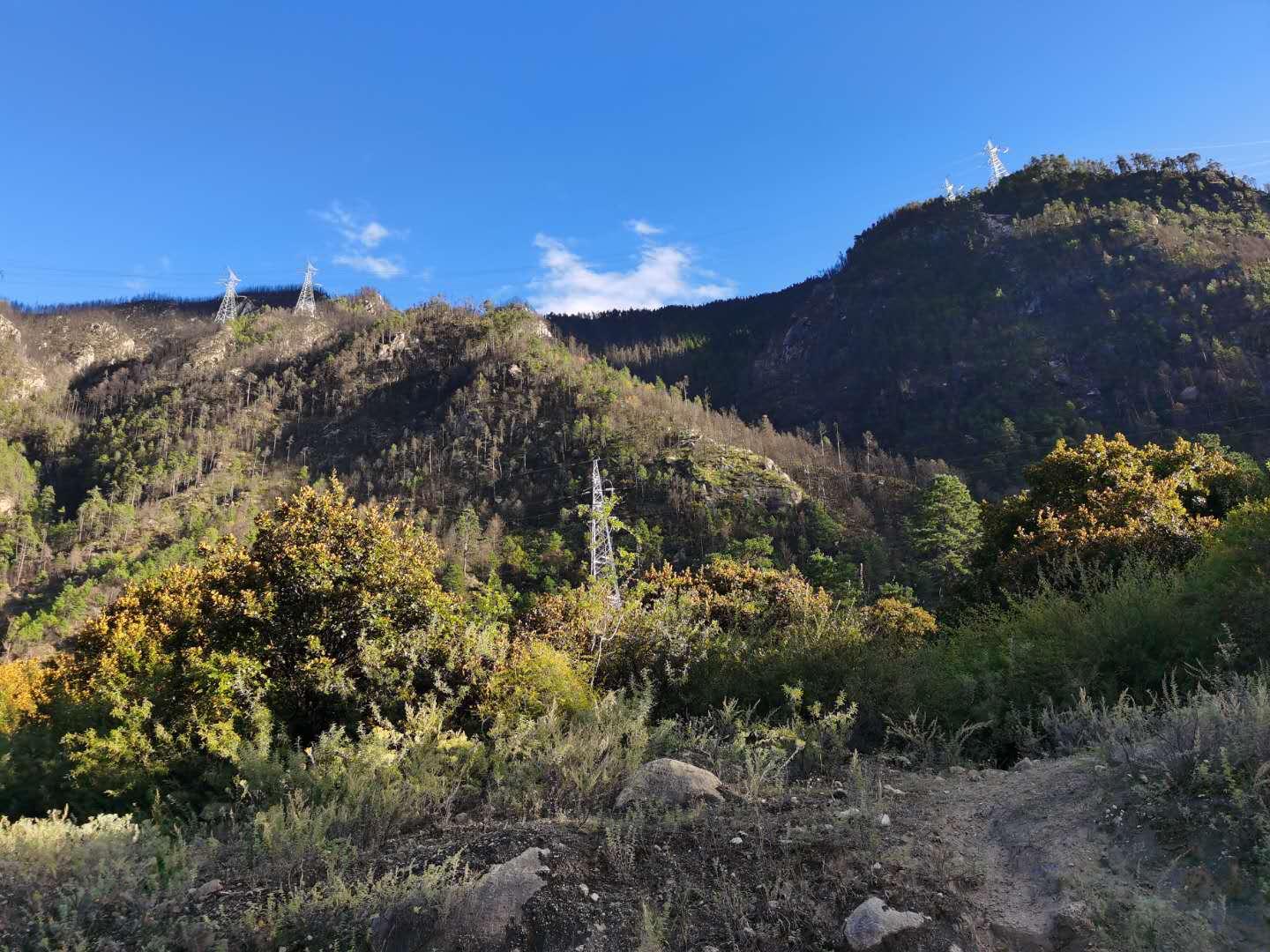 探索59ddd最新网址，背景、历程与地位的全面解析