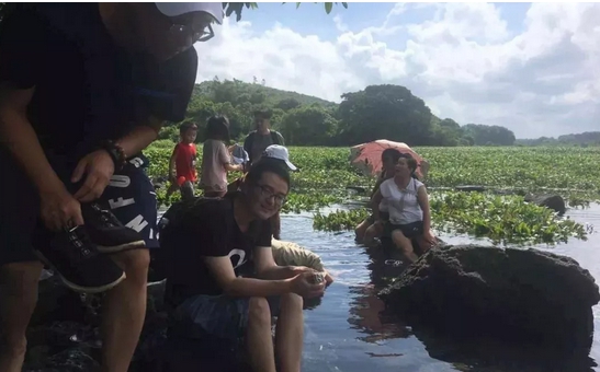 老鸭窝最新发布信息，自然美景探索之旅，寻找内心的平和与喜悦
