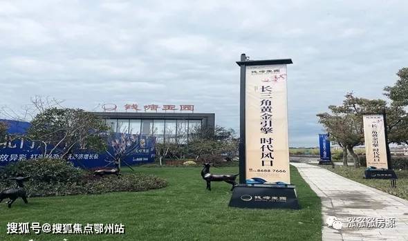 最新山铝资讯报道