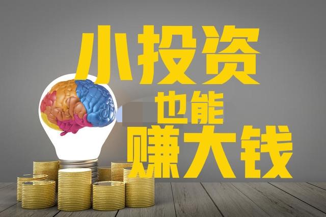最新投资创业项目揭秘，小巷深处的独特宝藏商机