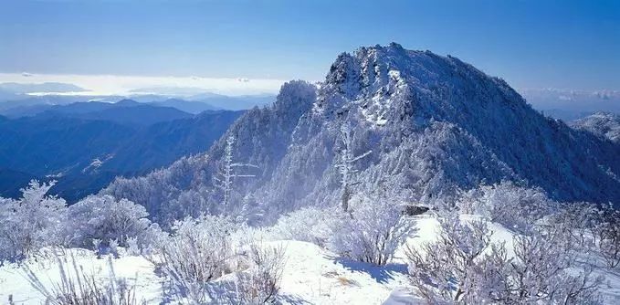 最新貂皮价格，与自然美景相遇，探寻内心平和的旅行体验