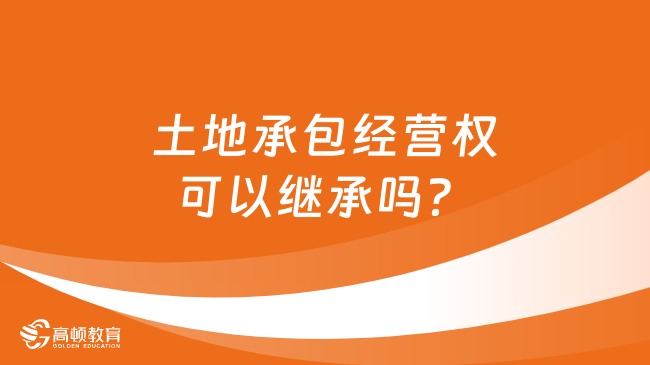 最新土地继承法，科技重塑继承，智能导航引领未来变革