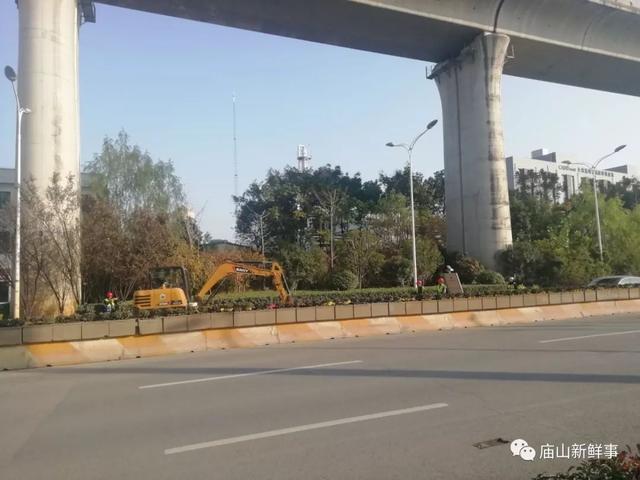 江夏庙山，最新动态、日常趣事与秘密探秘，感受友情的温暖
