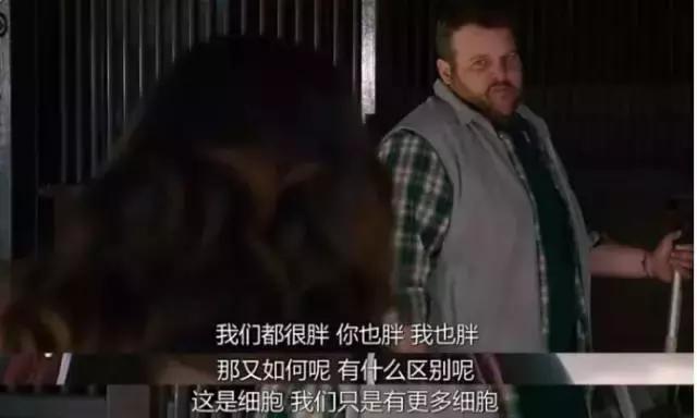 探索自然美景的治愈之旅，最新美剧启程寻找内心平和与宁静 2016