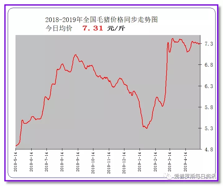 猪价最新预测，初学者与进阶用户指南