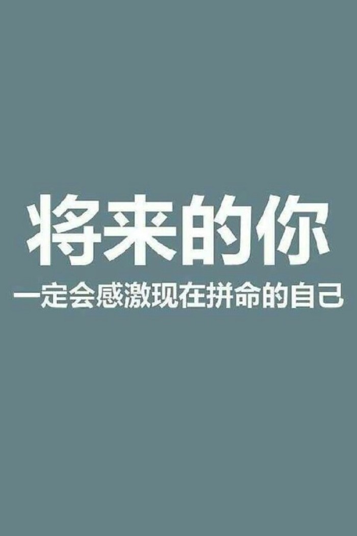 善领最新版学习变化，自信成就未来之路