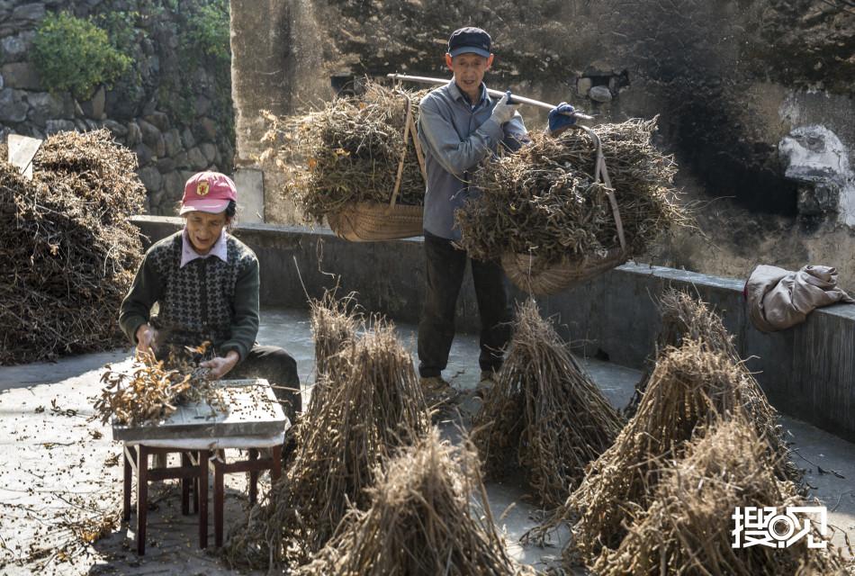 淳安新闻独家揭秘，小巷深处的独特风味——探访隐藏的特色小店